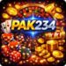 PAK234 Game