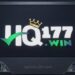 HQ177Win Game